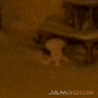 video image